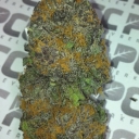 Granddaddy Purple
