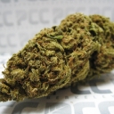 Afghani Goo x Blue Dream