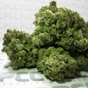 Blueberry x Northern Lights