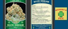 Blue Dream