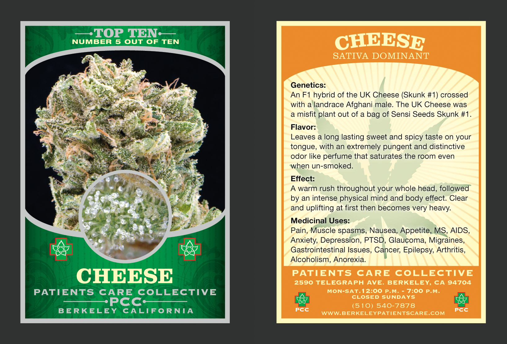 Cheese