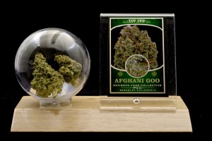 Trading Card Trophy Afghani Goo Indica High Grade