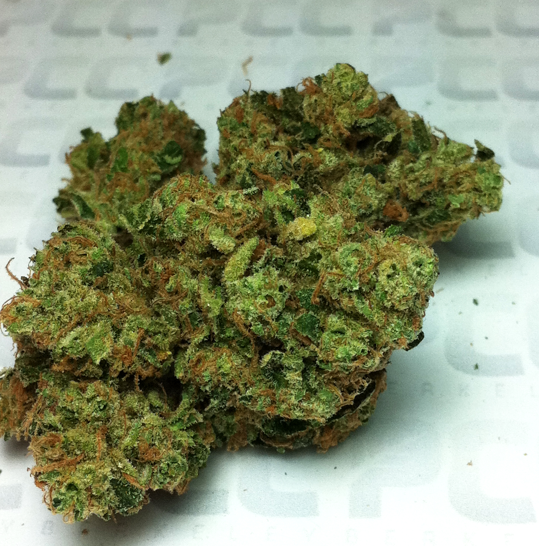 Chemdawg2