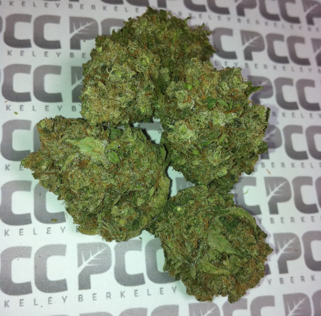 Durban Poison Durban Poison