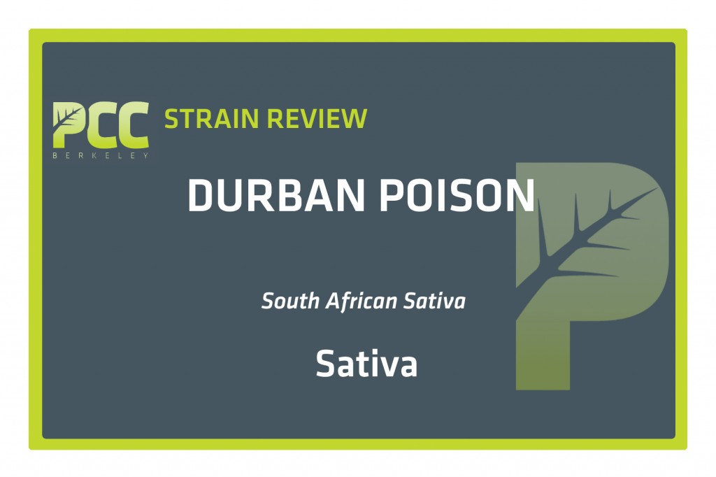 Durban Poison Review Durban Poison Review