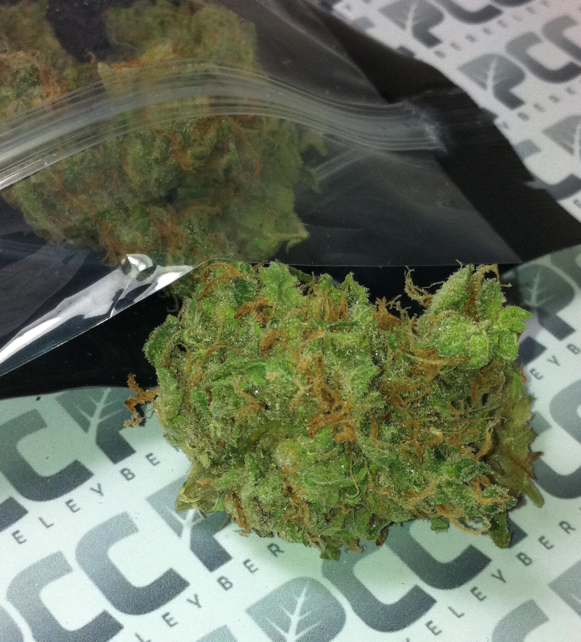 Island Sweet Skunk