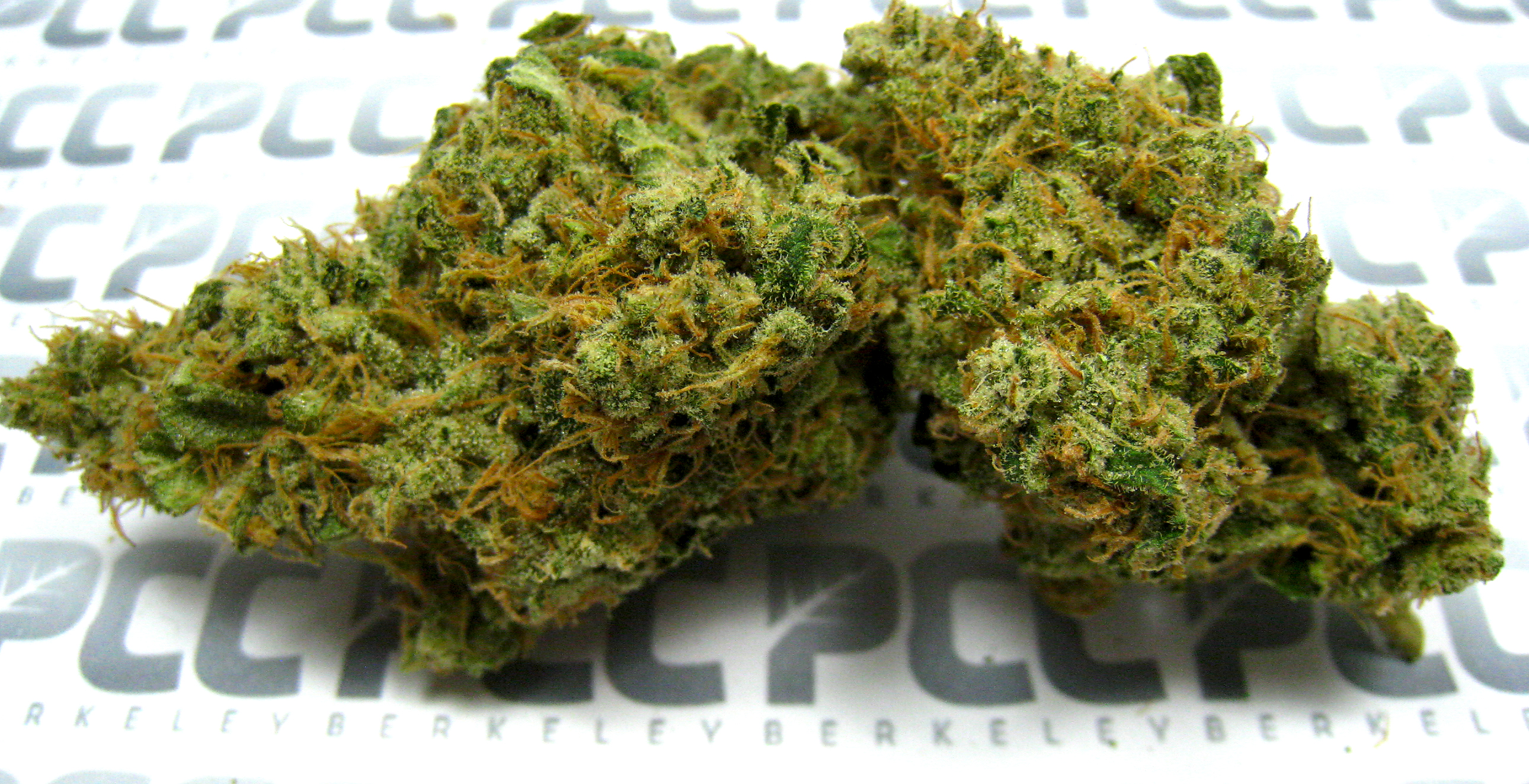 StrawKushReveiw