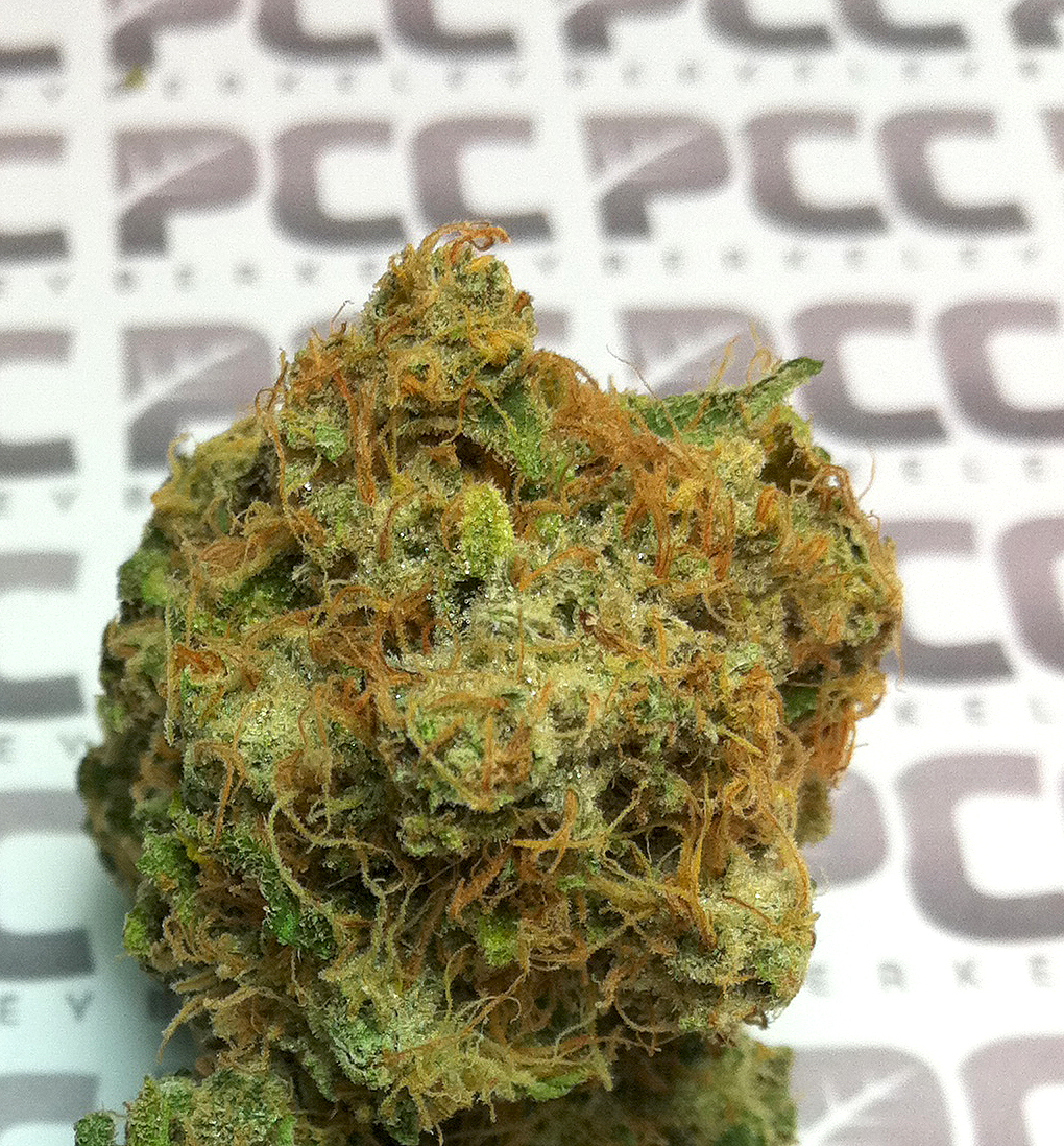 strawberry kush close up
