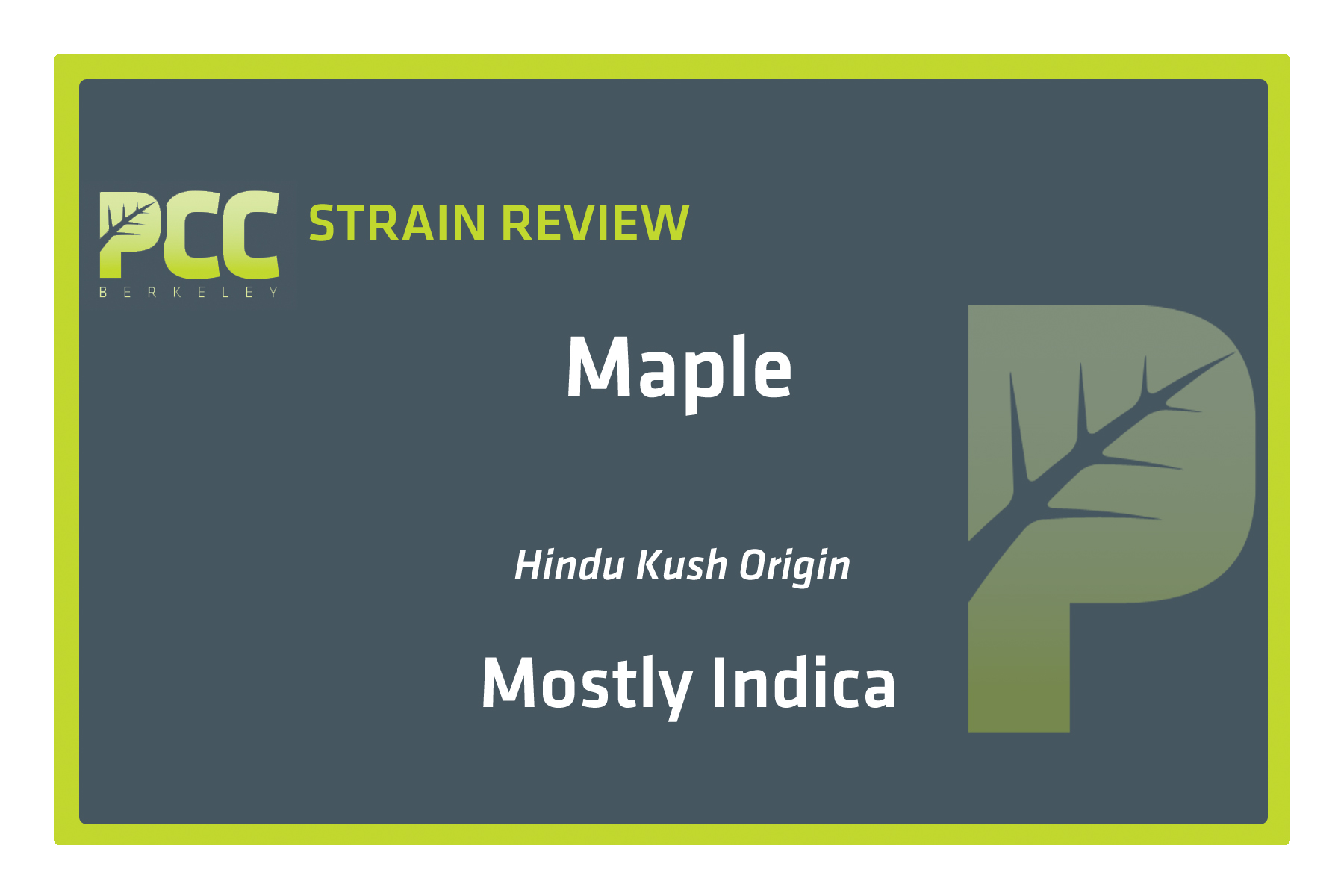 StrainReviewTemplate_Maple