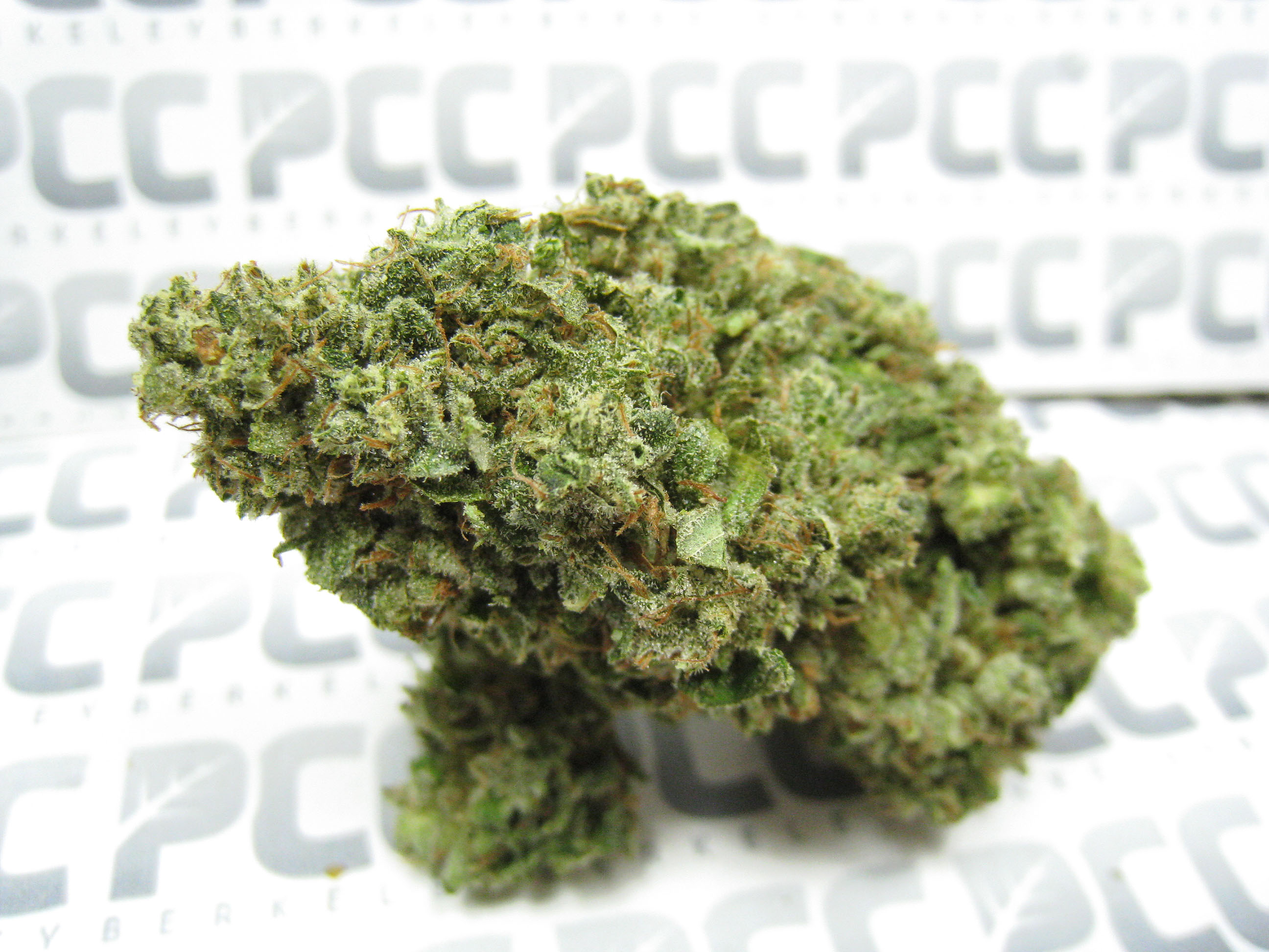 TerpeneQueen_best