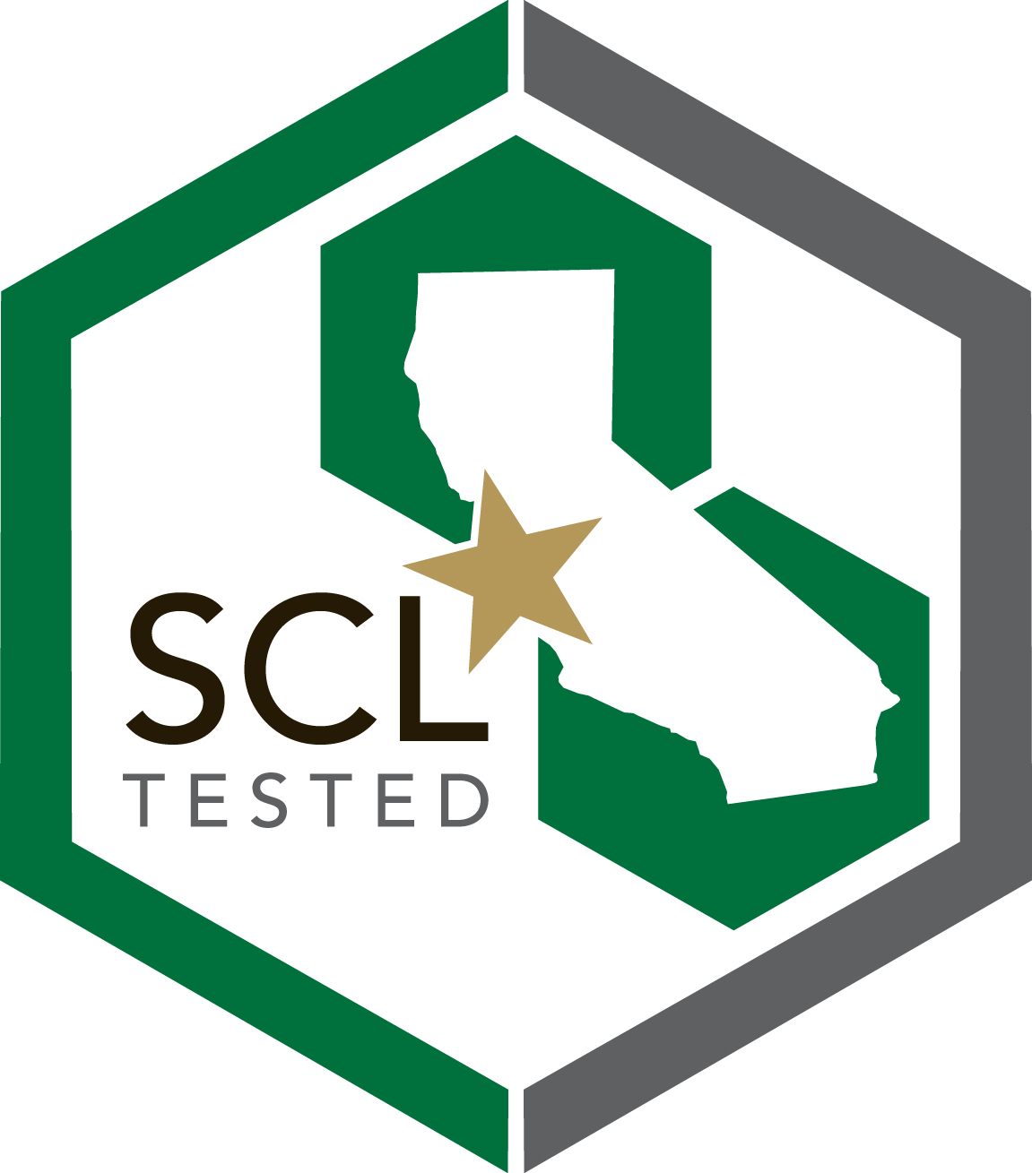SC Labs_Concept Logo_4
