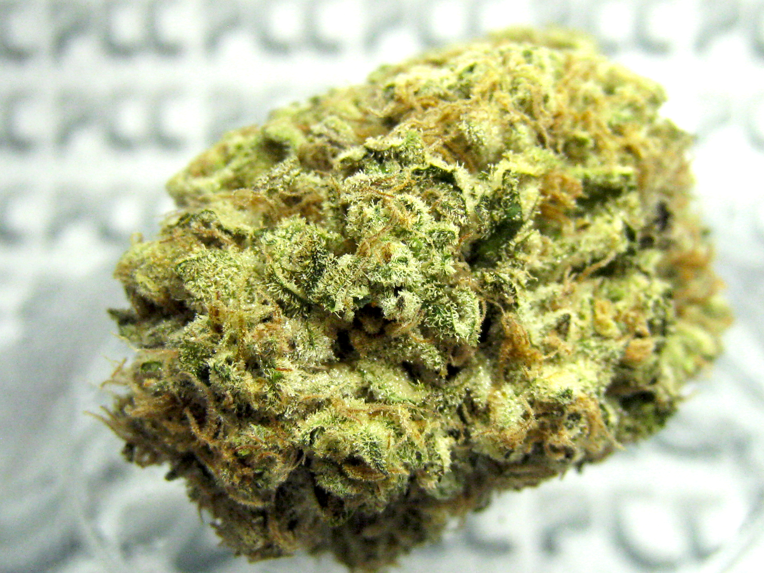 Purple Trainwreck_for review